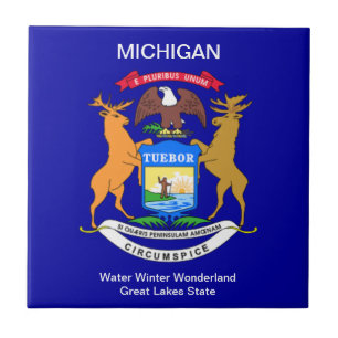 Michigan Flag Tegeltje