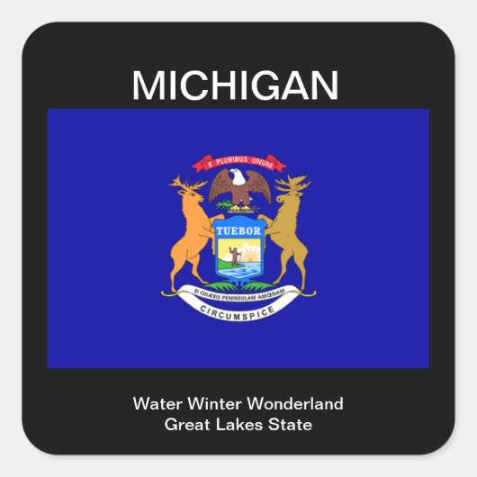 Michigan Flag Vierkante Sticker (Voorkant)