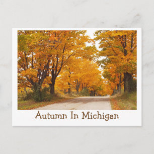 "MICHIGAN LAND ROAD ALLEMAAL LANGZAAM MET HERFST K BRIEFKAART