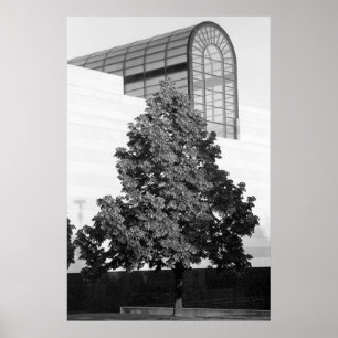 Michigan Library & Historical Center Poster