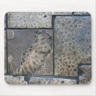 Michigan Petoskey Stone Design Muismat