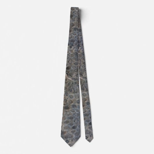 Michigan Petoskey Stone Pattern Stropdas (Voorkant)