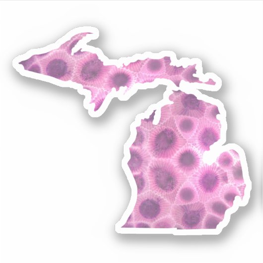 Michigan Petoskey stone | Toestand van het Grote M Sticker (Voorkant)