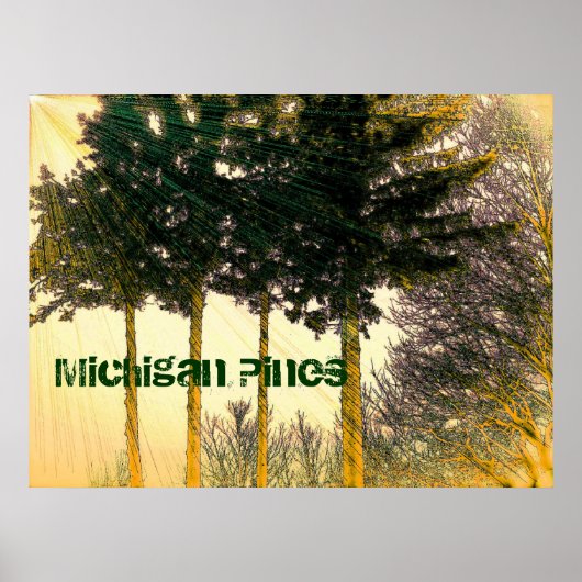 Michigan Pines Poster (Voorkant)