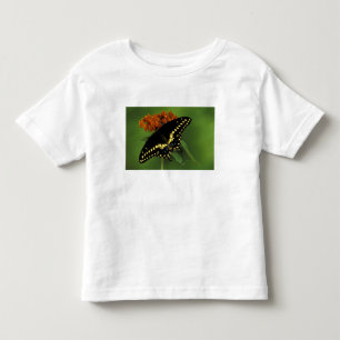 Michigan, Rochester. Amerikaanse Oosterse Zwarte Kinder Shirts