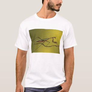 Michigan, Rochester Hills. Bidsprinkhaan T-shirt