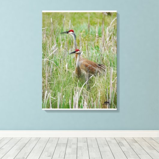 Michigan Sandhill Cranes Canvas Afdruk (Insitu (Houten vloer))
