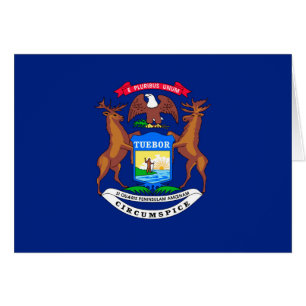 Michigan Staatsvlag Ontwerp