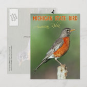 Michigan State Bird - American Robin Briefkaart (Voorkant / Achterkant)