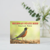 Michigan State Bird Robin Briefkaart (Staand voorkant)