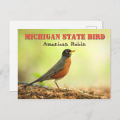 Michigan State Bird Robin Briefkaart (Voorkant / Achterkant)