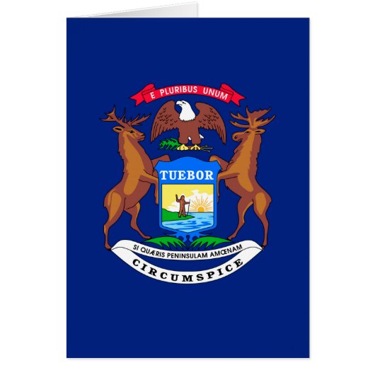 Michigan State Flag Design (Devant)