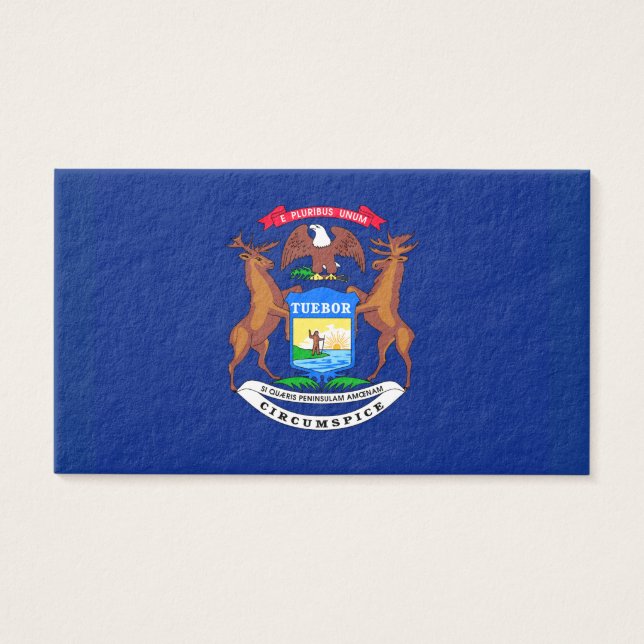 Michigan State Flag Design (Devant)