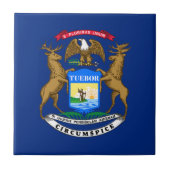Michigan State Flag Tegeltje (Voorkant)