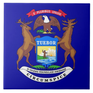 Michigan State Flag Tile Tegeltje