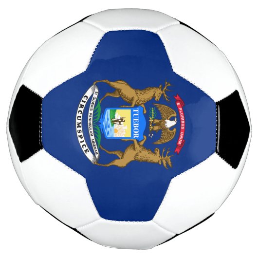 Michigan State Flag Voetbal (Gedraaid)