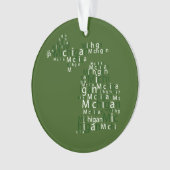 Michigan State University Ornament (voorkant)