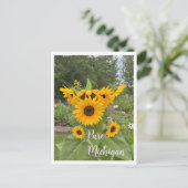 Michigan Summer Sunflower Carte postale (Debout devant)