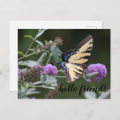Michigan Swallowtail Butterfly Briefkaart (Voorkant / Achterkant)