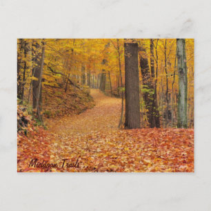 Michigan Trails Briefkaart