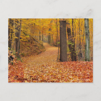 Michigan Trails Briefkaart
