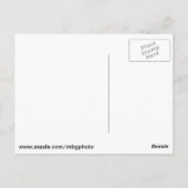 Michigan Waterfall Briefkaart (Achterkant)