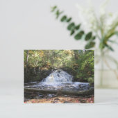 Michigan Wilderness Waterfall Briefkaart (Staand voorkant)