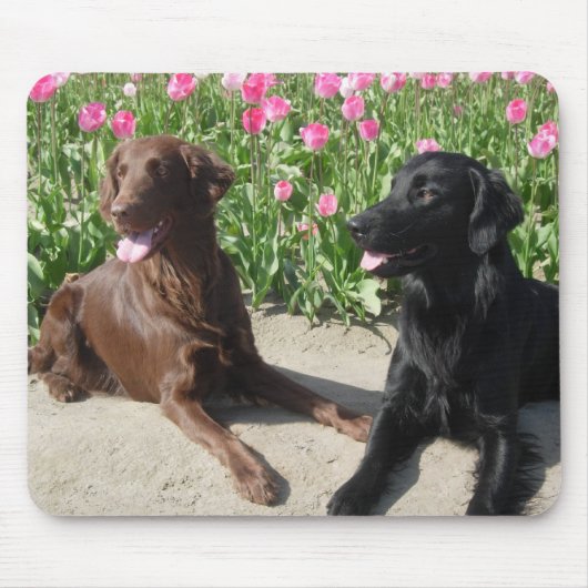 Mick & Patsy in de tulpen 011 Muismat (Voorkant)