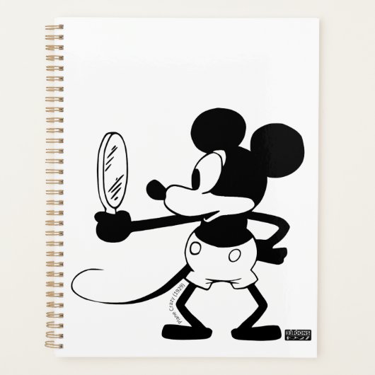 Mickey - Looking in the Mirror (Plane Crazy, 1929) (Devant)