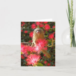Mico in "wilde" Notecards Kaart