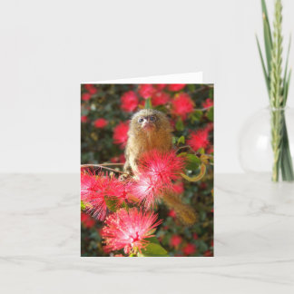 Mico in "wilde" Notecards Kaart