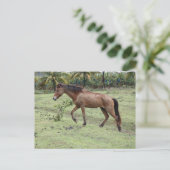 Micoud2 Briefkaart (Staand voorkant)