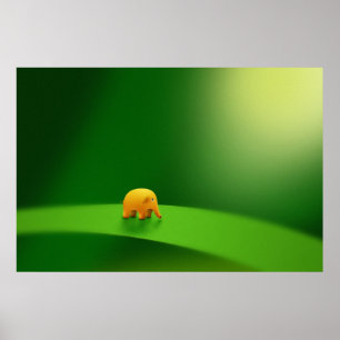 Micro-dieren - olifant poster