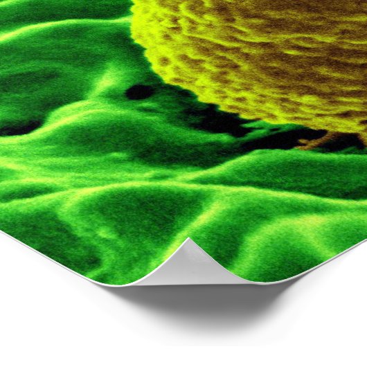 microbiologie abstraite art poster personnalisé to (Coin)