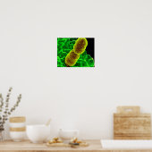 microbiologie abstraite art poster personnalisé to (Cuisine)