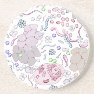 Microbiologisch patroon zandsteen onderzetter