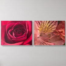 Microbloemenfotografie – Gedetailleerde Close-Up F