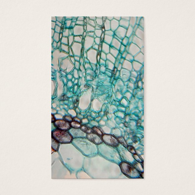 micrographie des cellules plantes (Devant)