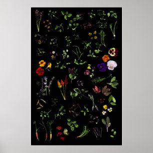 Microgreens Poster