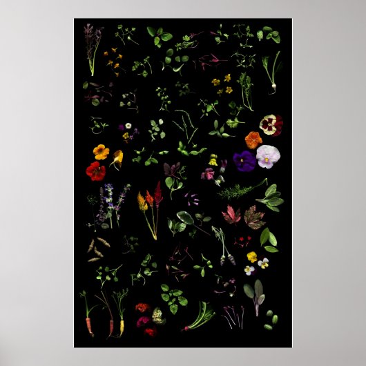 Microgreens Poster (Voorkant)