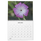 microkosmos kalender (Jan 2027)