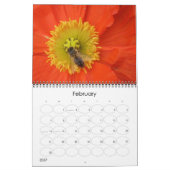microkosmos kalender (Feb 2027)