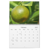 microkosmos kalender (Feb 2027)