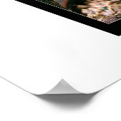 microkosmos poster (Hoek)