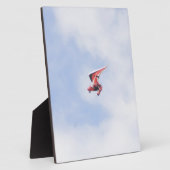 Microlight vliegtuig fotoplaat (Zijkant)