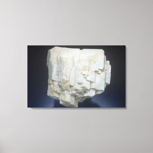 microlijn canvas afdruk (Voorkant)