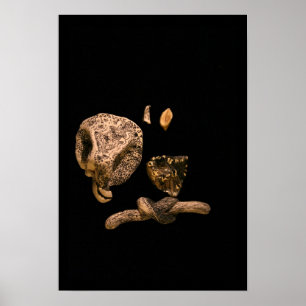 Micromanethiques Grafische Miniatuur Micro Sculptu Poster