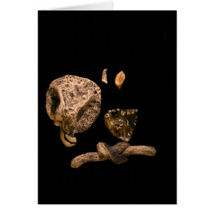 Micromanethiques Graphic Miniature Sculpture Kaart