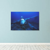 Micronesia, Palau, werelderfgoedgebied. WWII Canvas Afdruk (Insitu (Houten vloer))