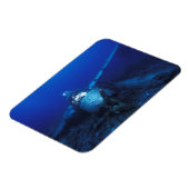 Micronesia, Palau, werelderfgoedgebied. WWII Magneet (Linkerzijde)